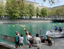 zls 2023 limmat  
